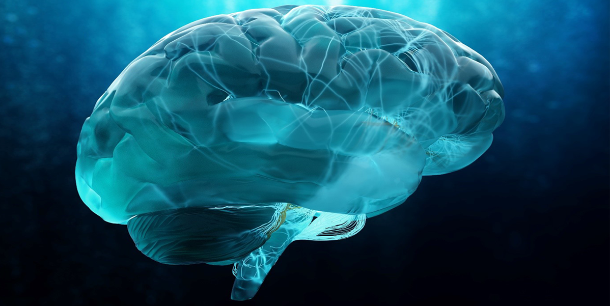 How to Handle Epilepsy: a neurological disorder!