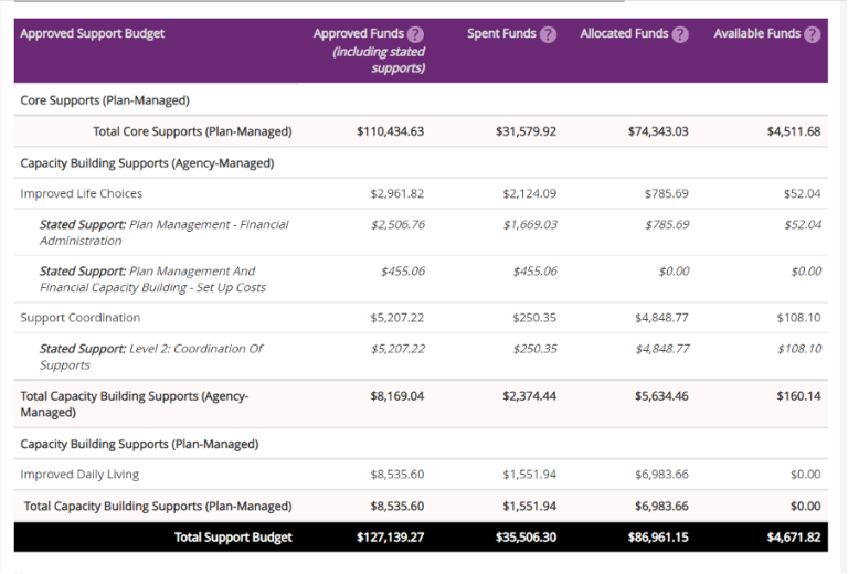 How to Use NDIS Funding More Flexibly
